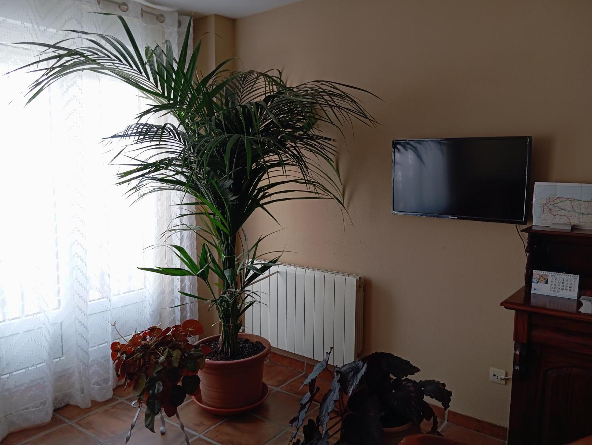 Hostal Santiago Carrion De Los Condes Bagian luar foto